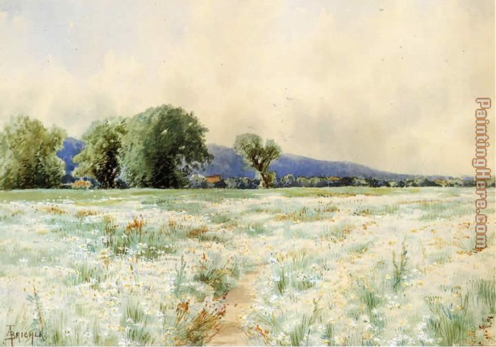 The Daisy Field painting - Alfred Thompson Bricher The Daisy Field art painting